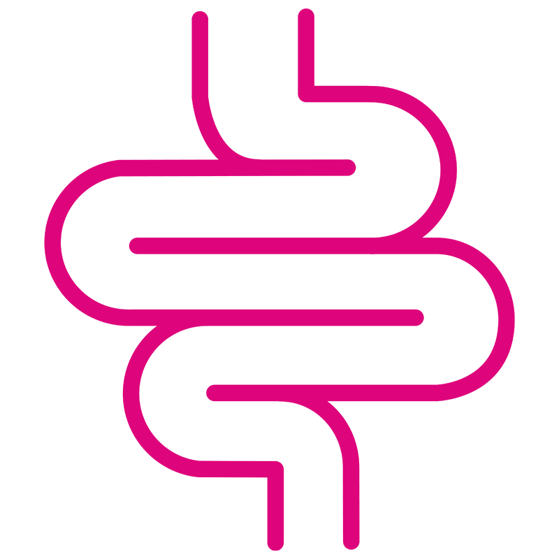 Salud intestinal