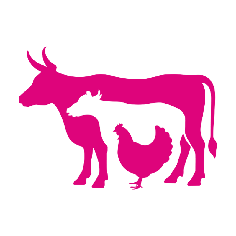 Animal nutrition